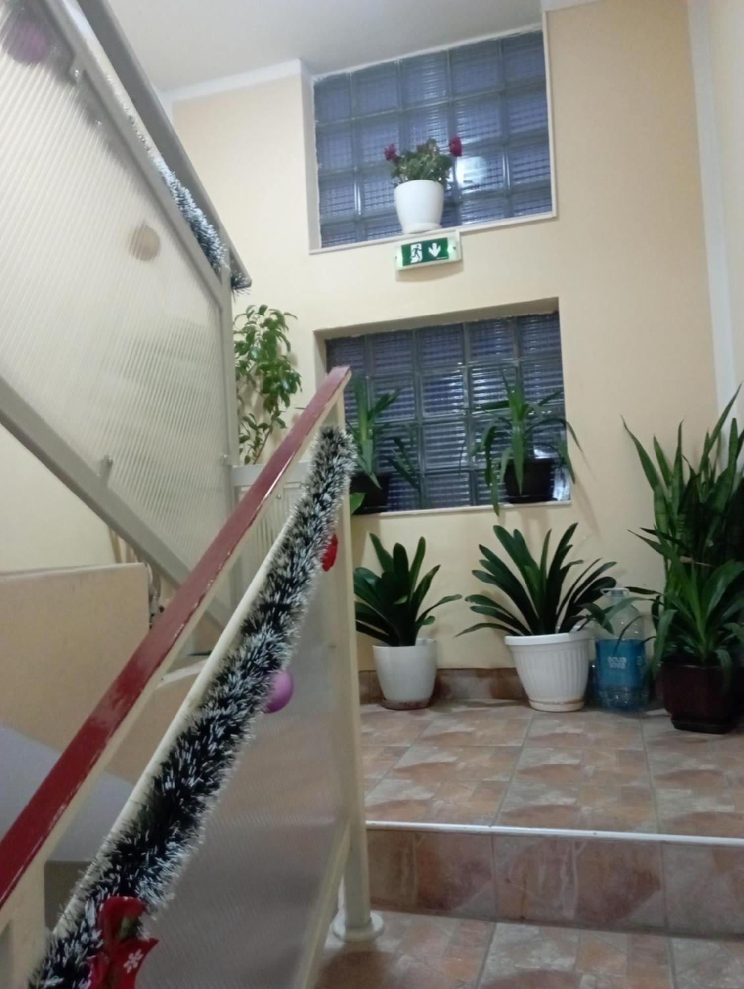 Apartments & Rooms -Mdl Lazic Belgrade Luaran gambar